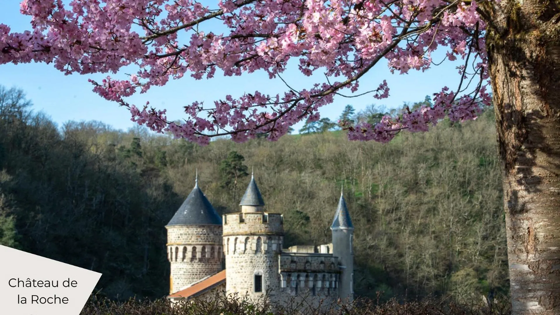 Souplex Chic Et Cosy Familles Et Pros, Roanne Apartment 0*,  France